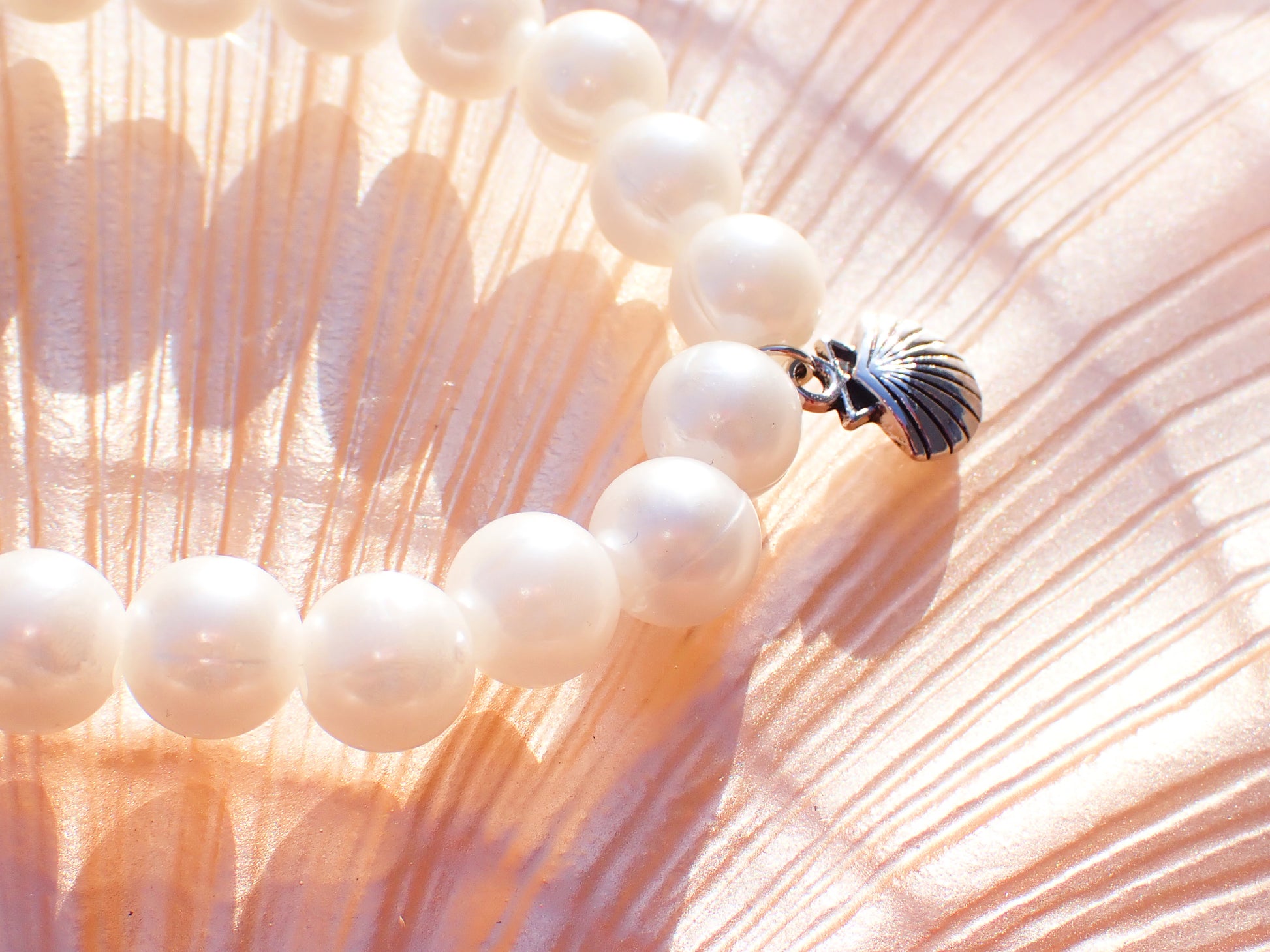 Seashell dainty Charm Beaded Bracelet